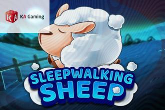 Sleepwalking Sheep